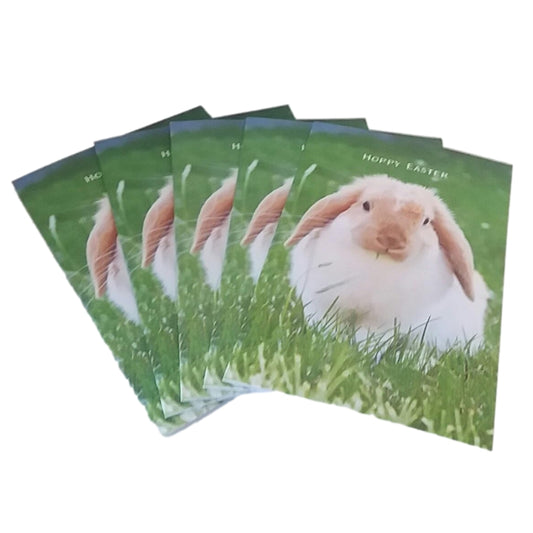 Pack of 5 Bunny Hoppy Easter Greeting Cards