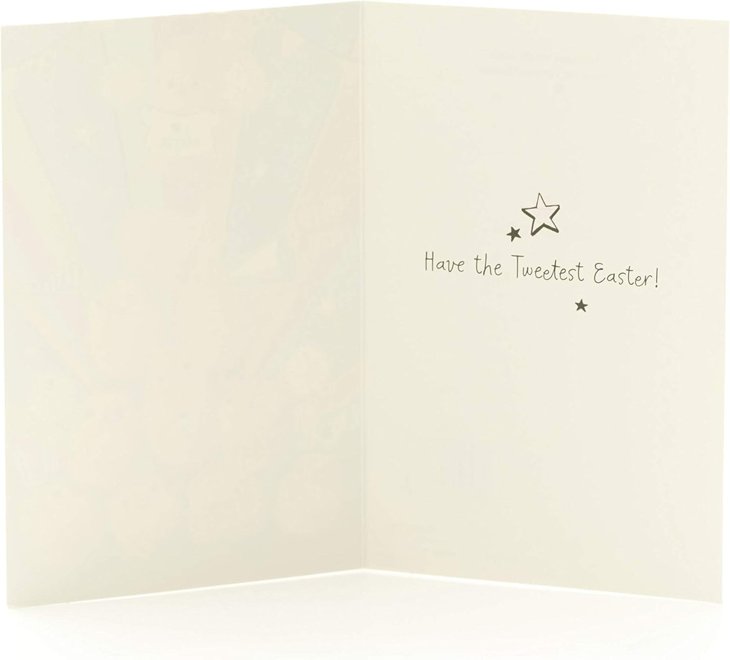 Fluffy Chicks Design Pack of 5 Easter Cards