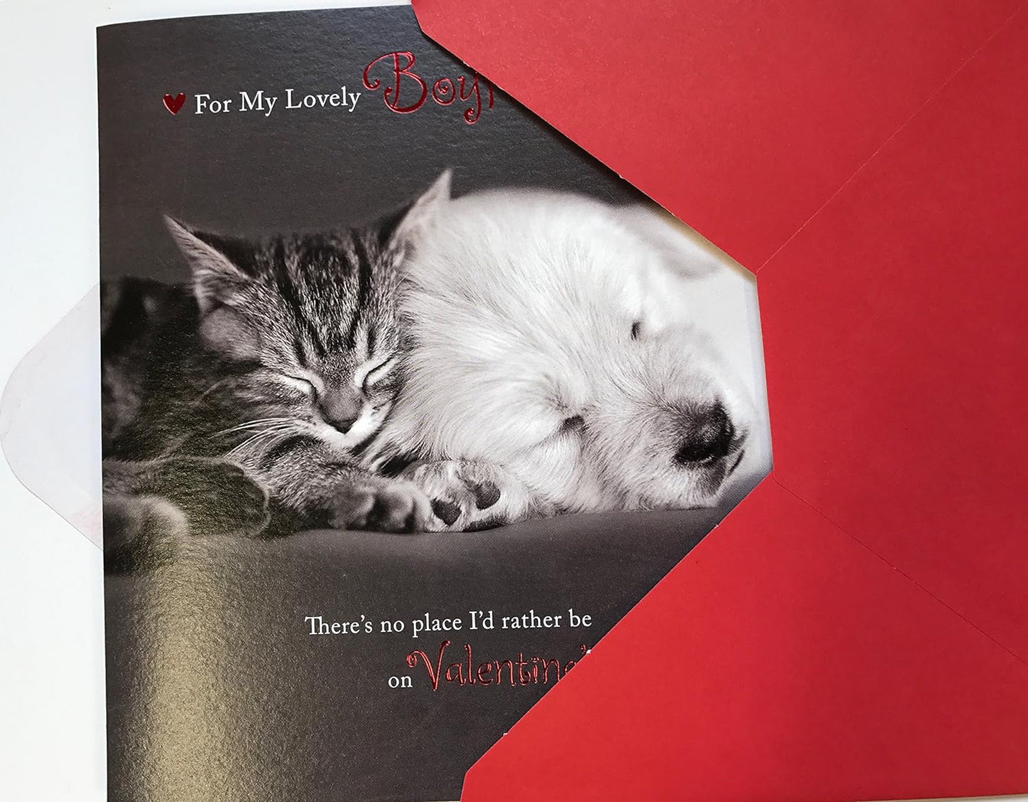 For My Lovely Boyfriend Cat & Puppy Valentine's Day Card