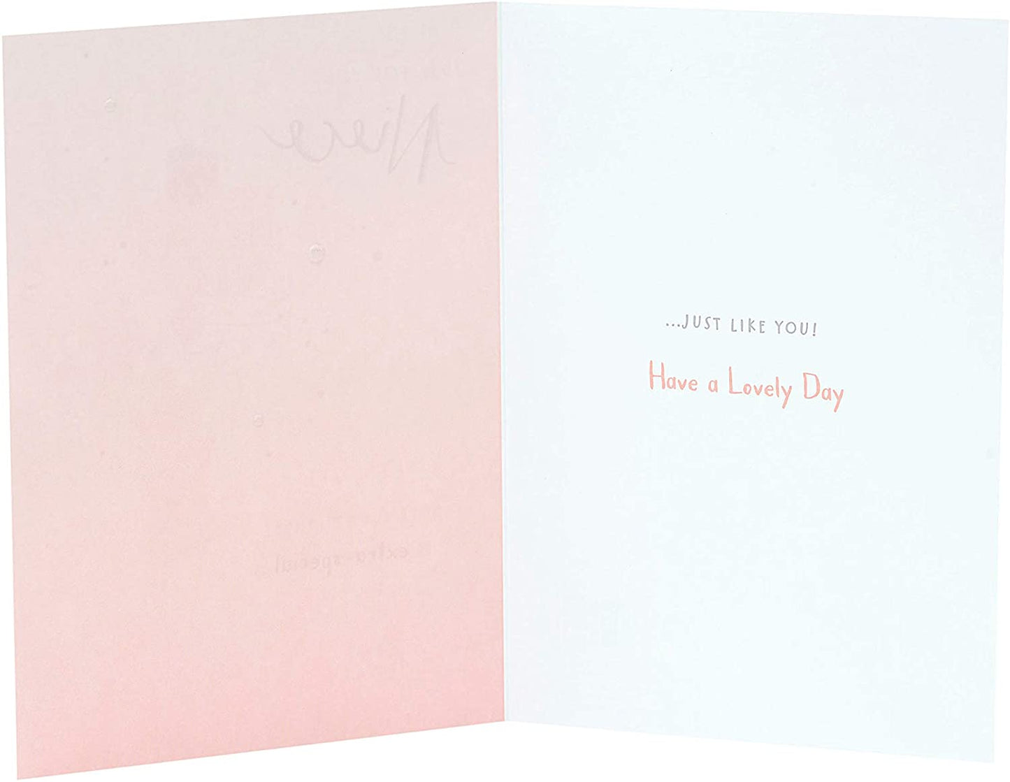 Just for You Niece Cute Nutmeg Birthday Card