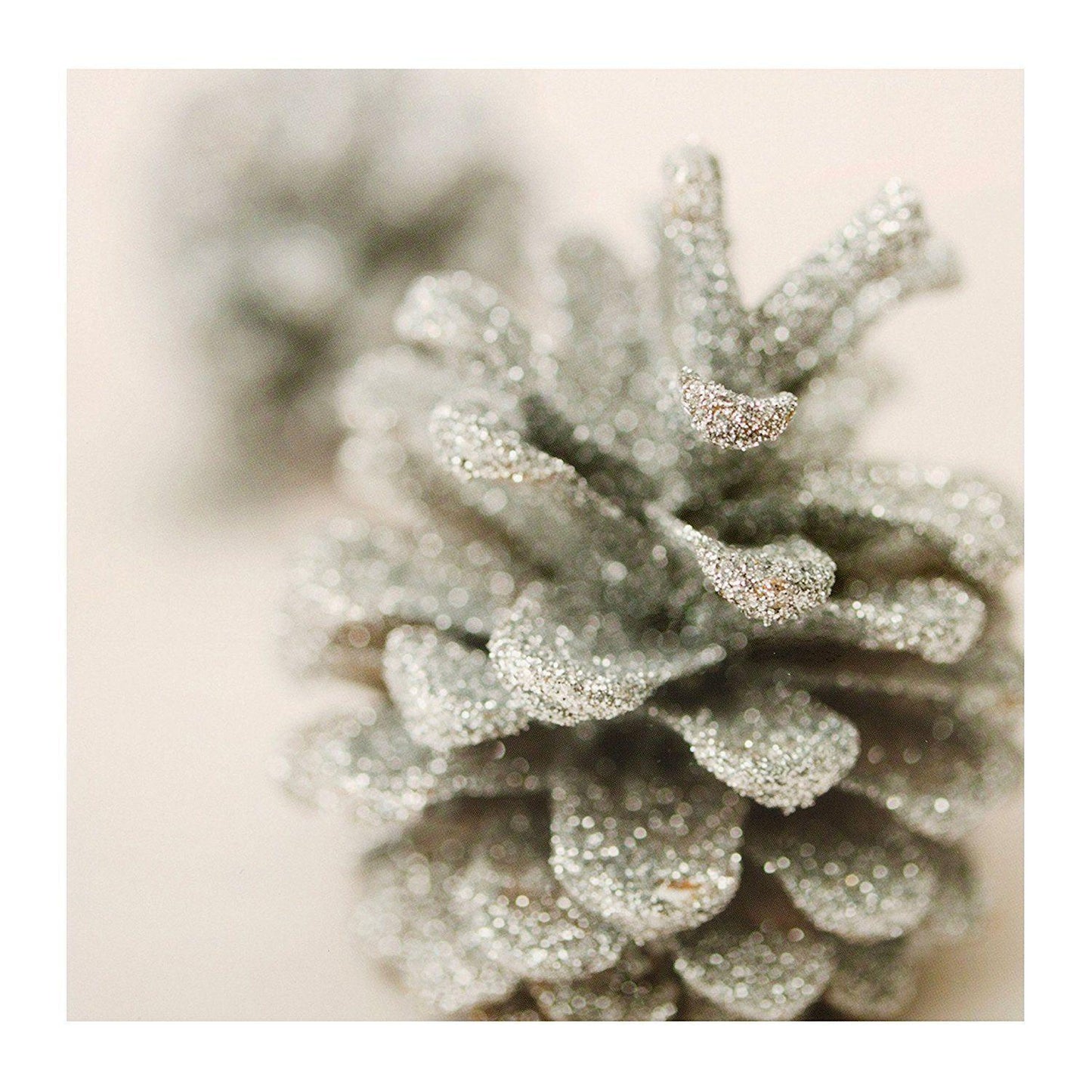 Blank Christmas Card 'Glittered Pinecone' 