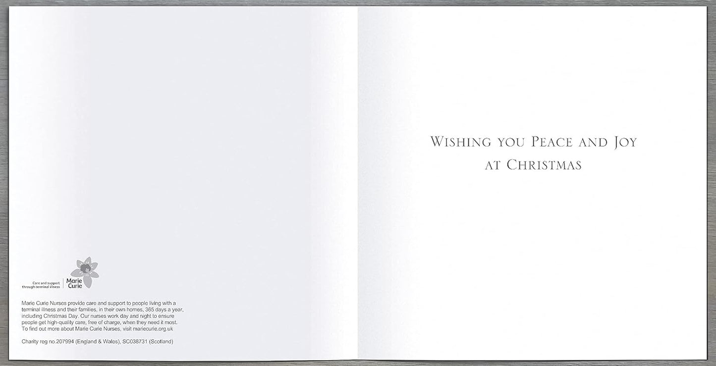 Pack of 8 Shepherds Of Bethlehem Marie Curie Charity Christmas Cards