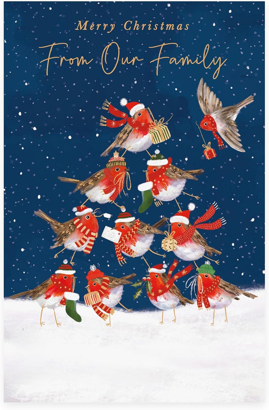 Robins Design From Our Family Christmas Card