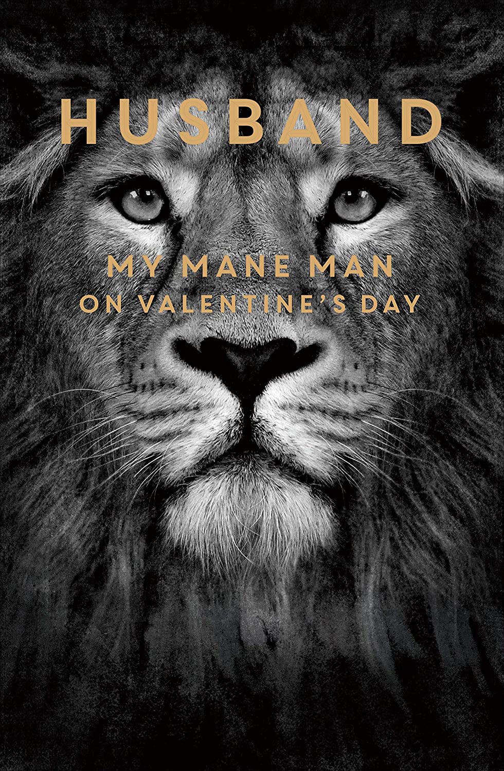 For Husband My Mane Man Lion Valentine's Day Card