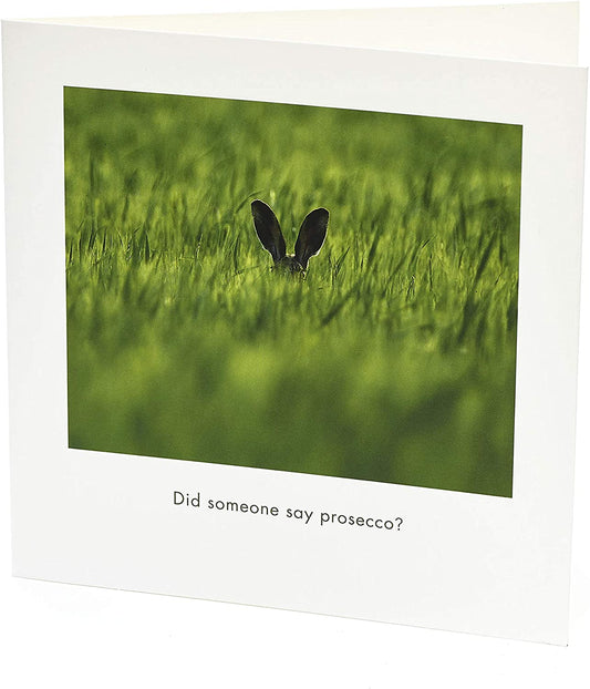 Did Someone Say Prosecco? Comedy Wildlife Photography Birthday Blank Card 