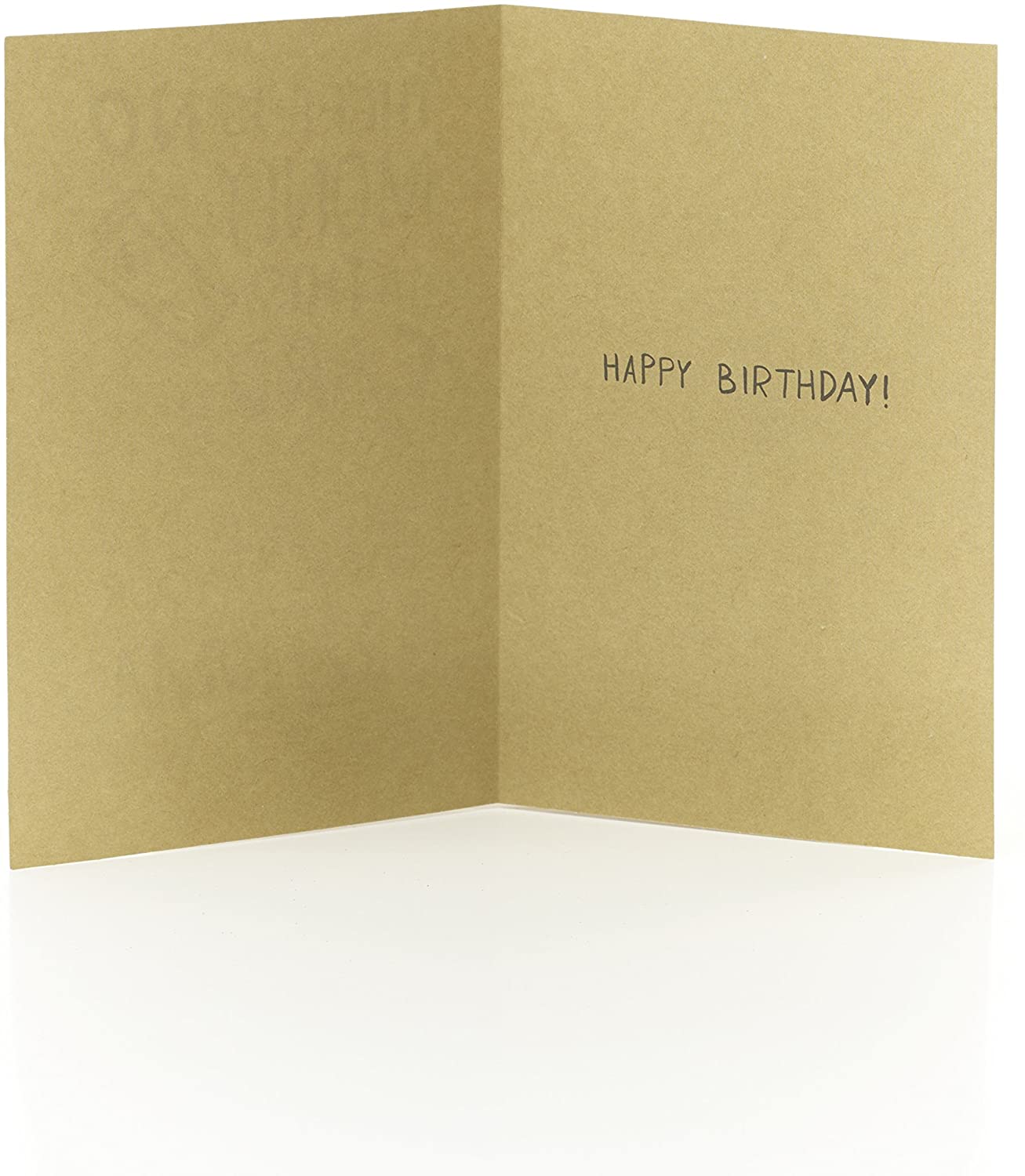 Funny Humorous Birthday Card No Money 