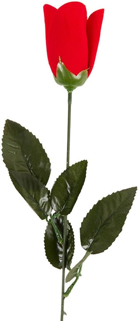 Pack of 6 Roses In Acetate Wrap 45cm  - Christmas Valentine Mother's Day Wedding Gift