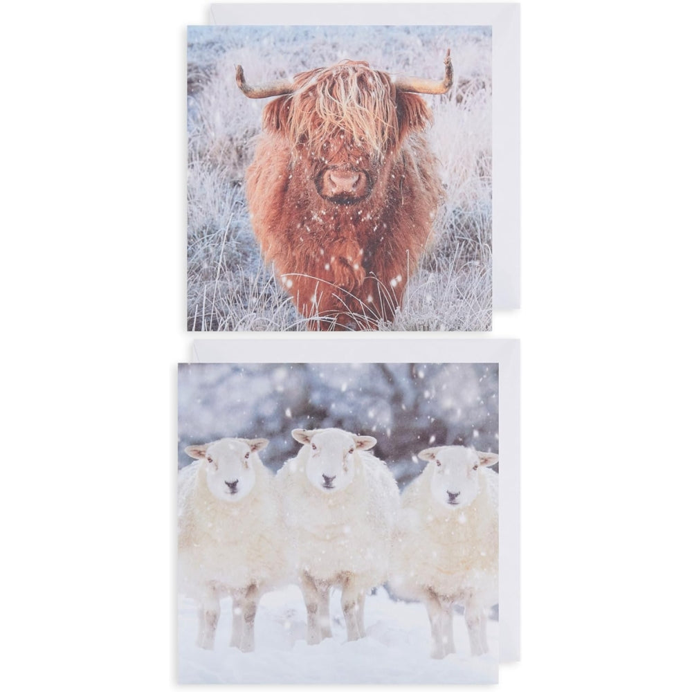 2 Animal Designs Multipack of 12 Christmas Cards