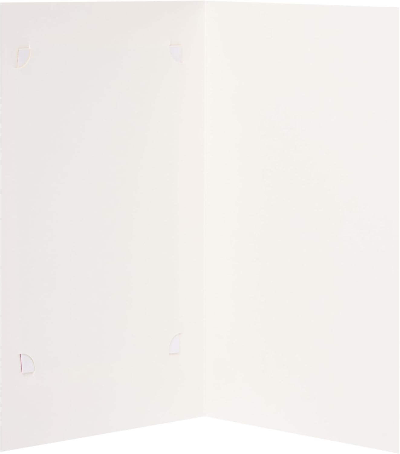 Disney Princess 3D Keepsake Design Blank Birthday Card