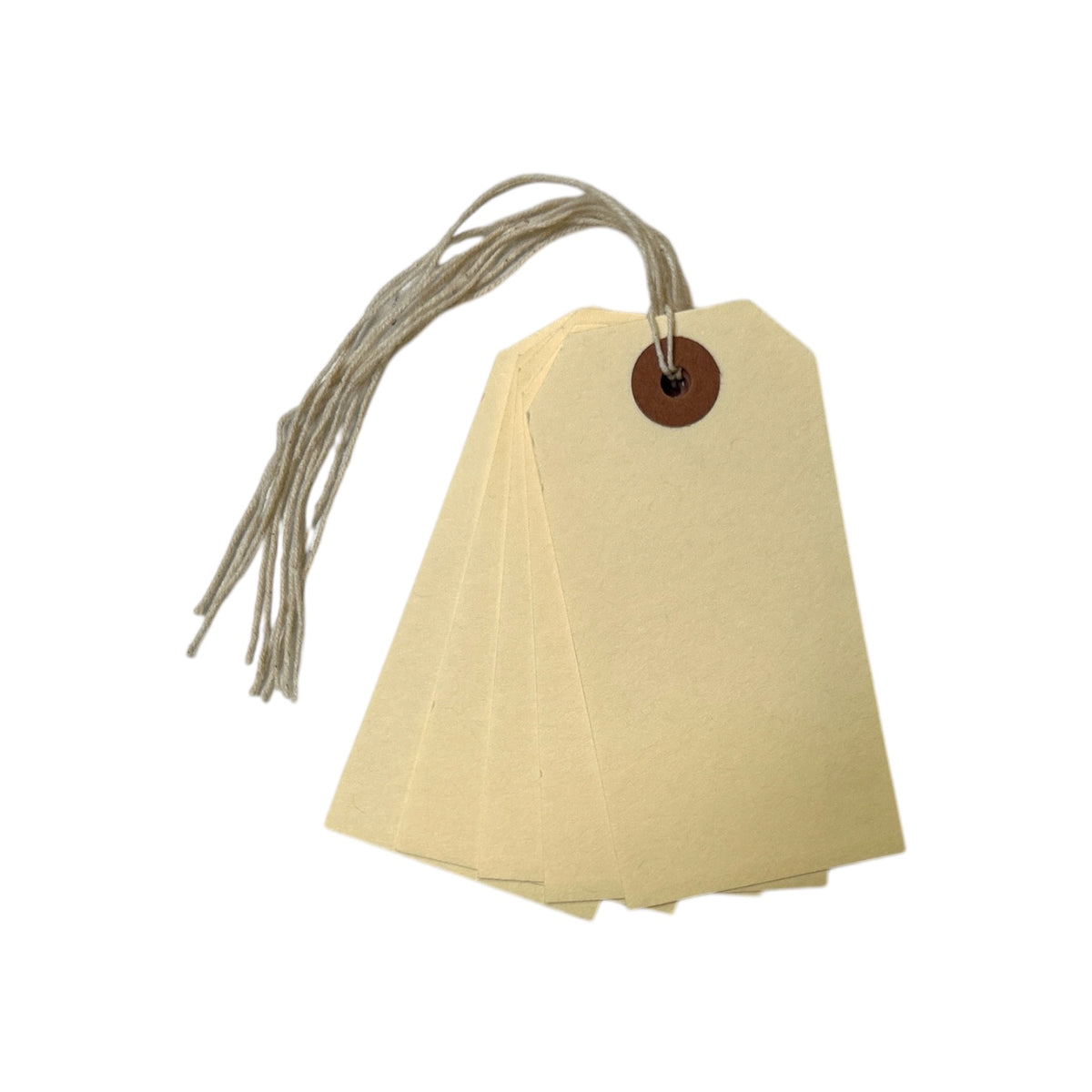 Box of 1000 96mm x 48mm Ivory Strung Tags– Shop Inc