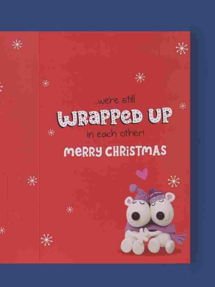 All Wrapped Up One I Love Humour Christmas Card 