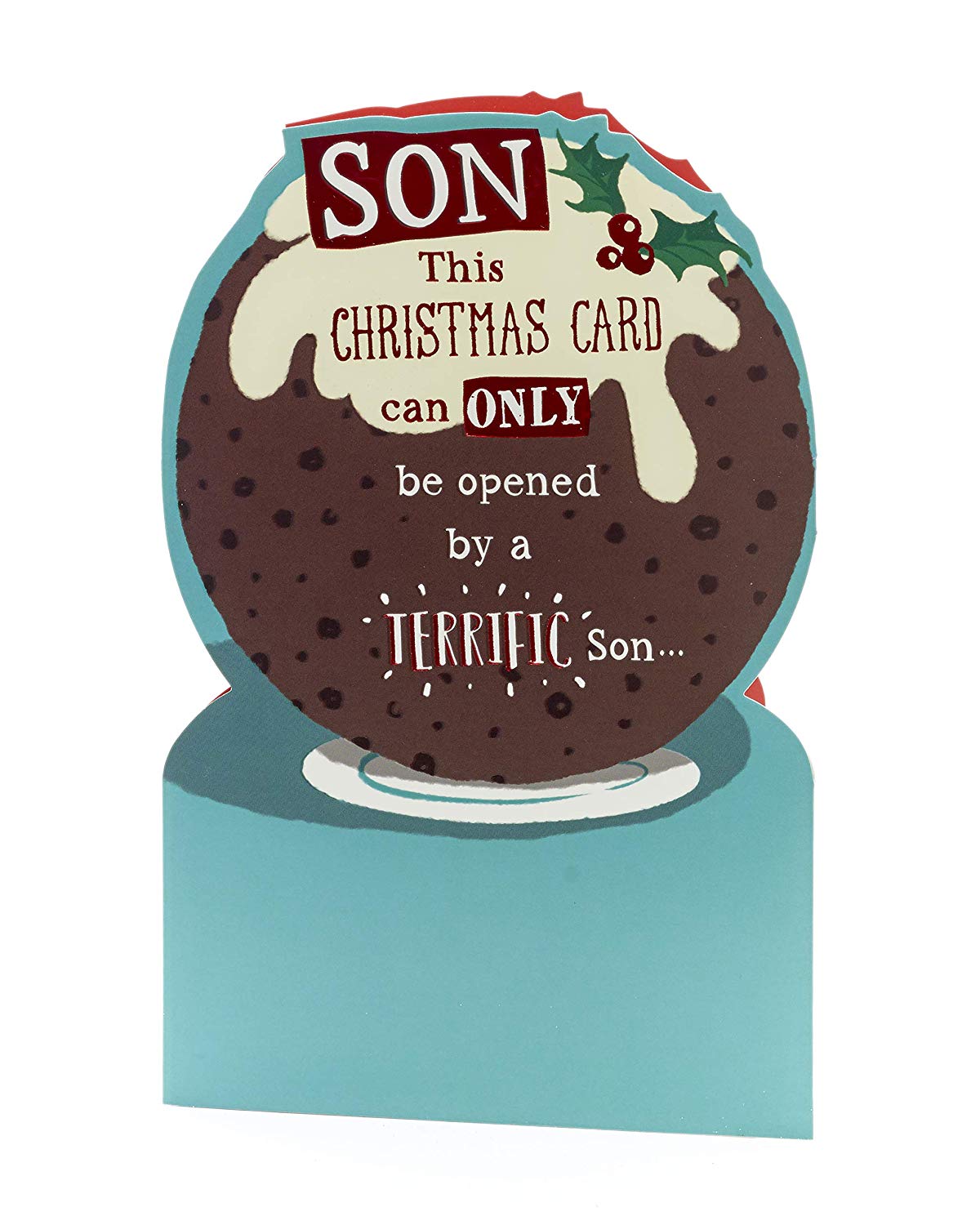 Son Funny Christmas Card Christmas Pudding