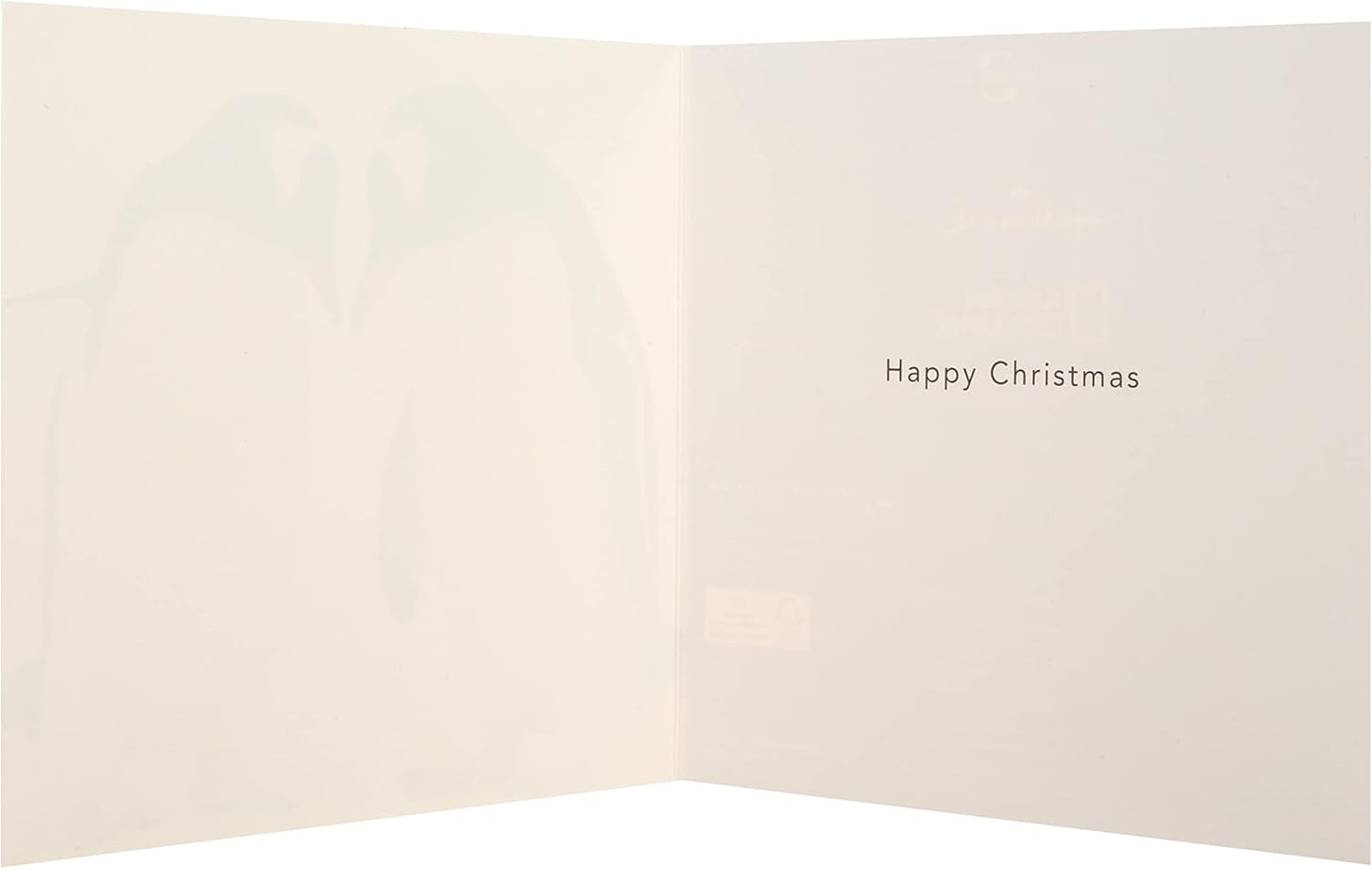 National Geographic Pack of 16 in 2 Designs Christmas Cards