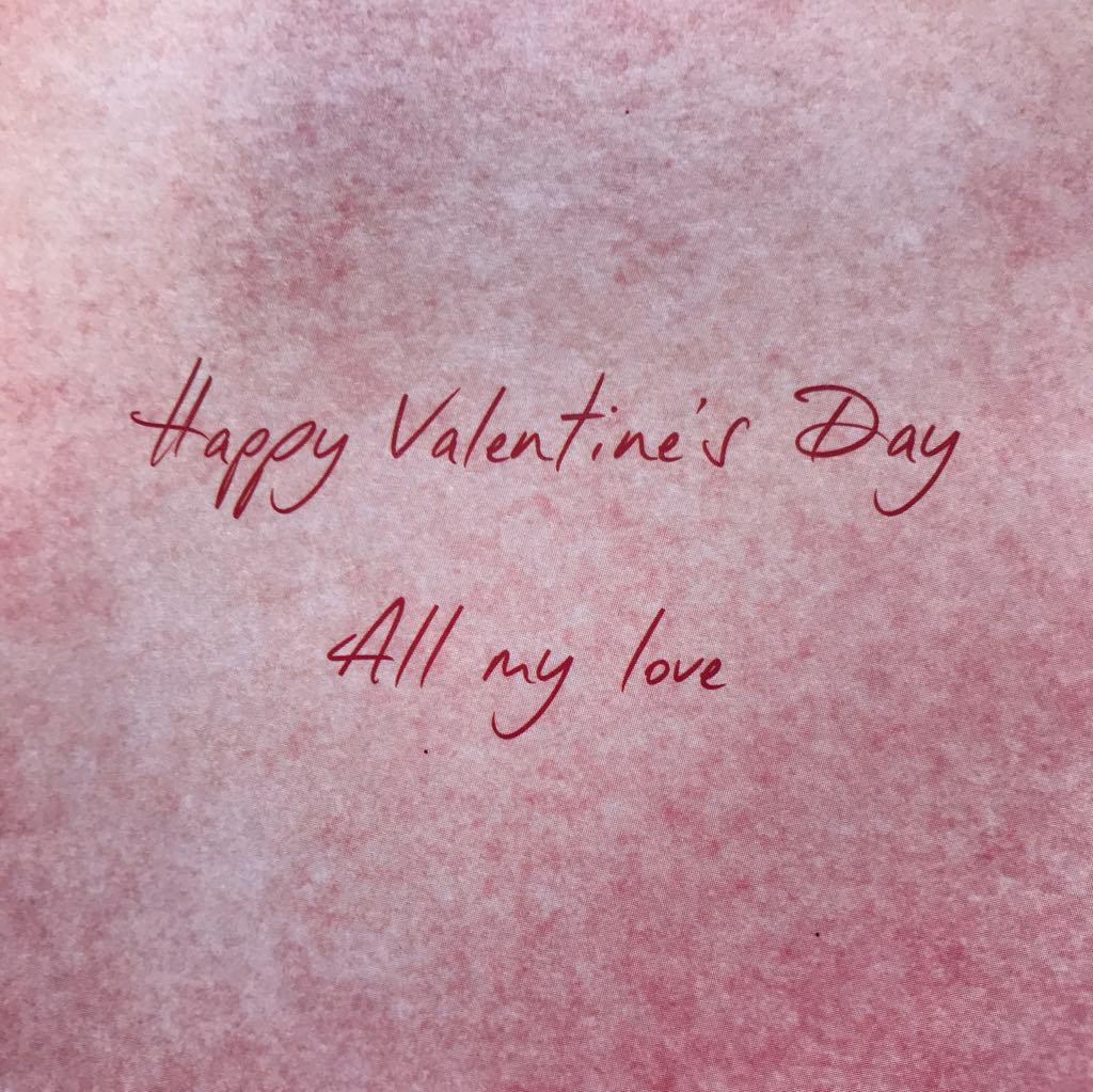 Girlfriend Softy Drawn Me to You bear Valentines Day Card