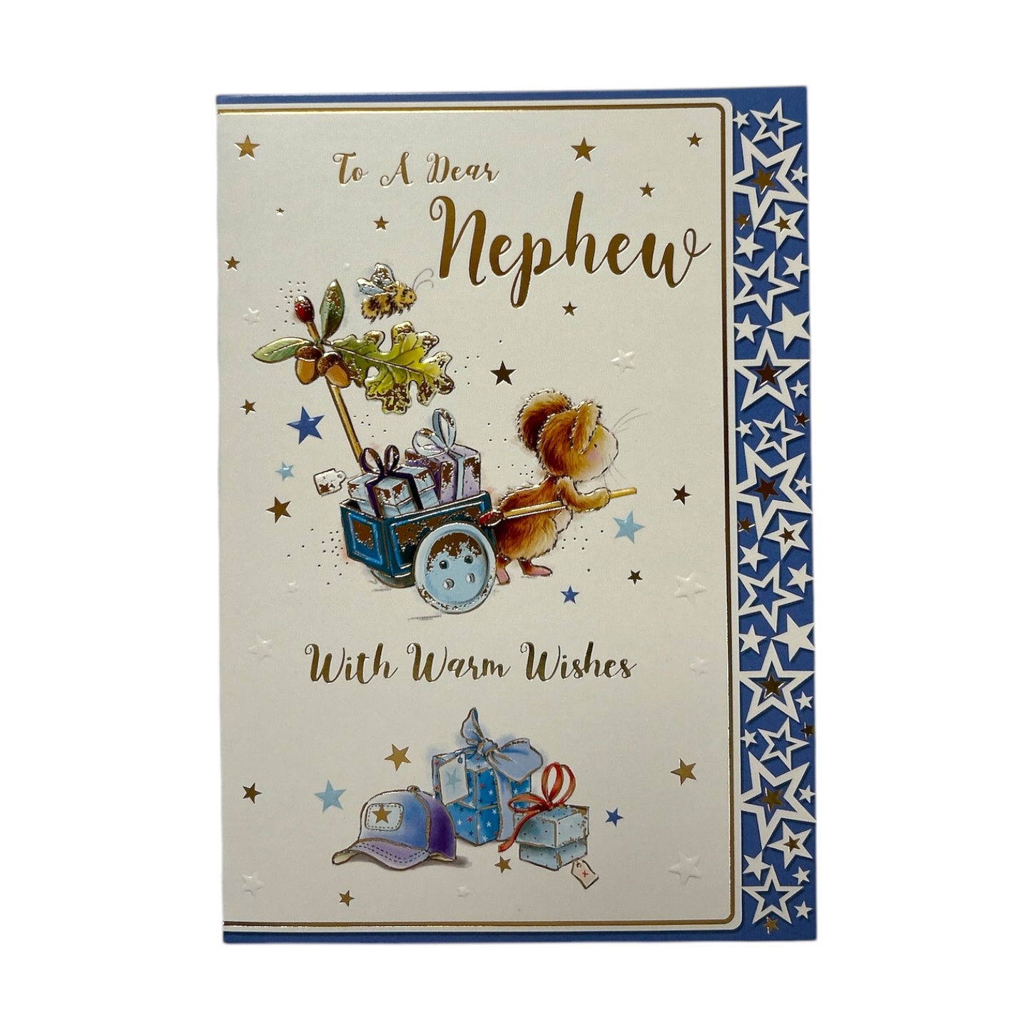 To Dear Nephew Cap and Gifts Design Birthday Card