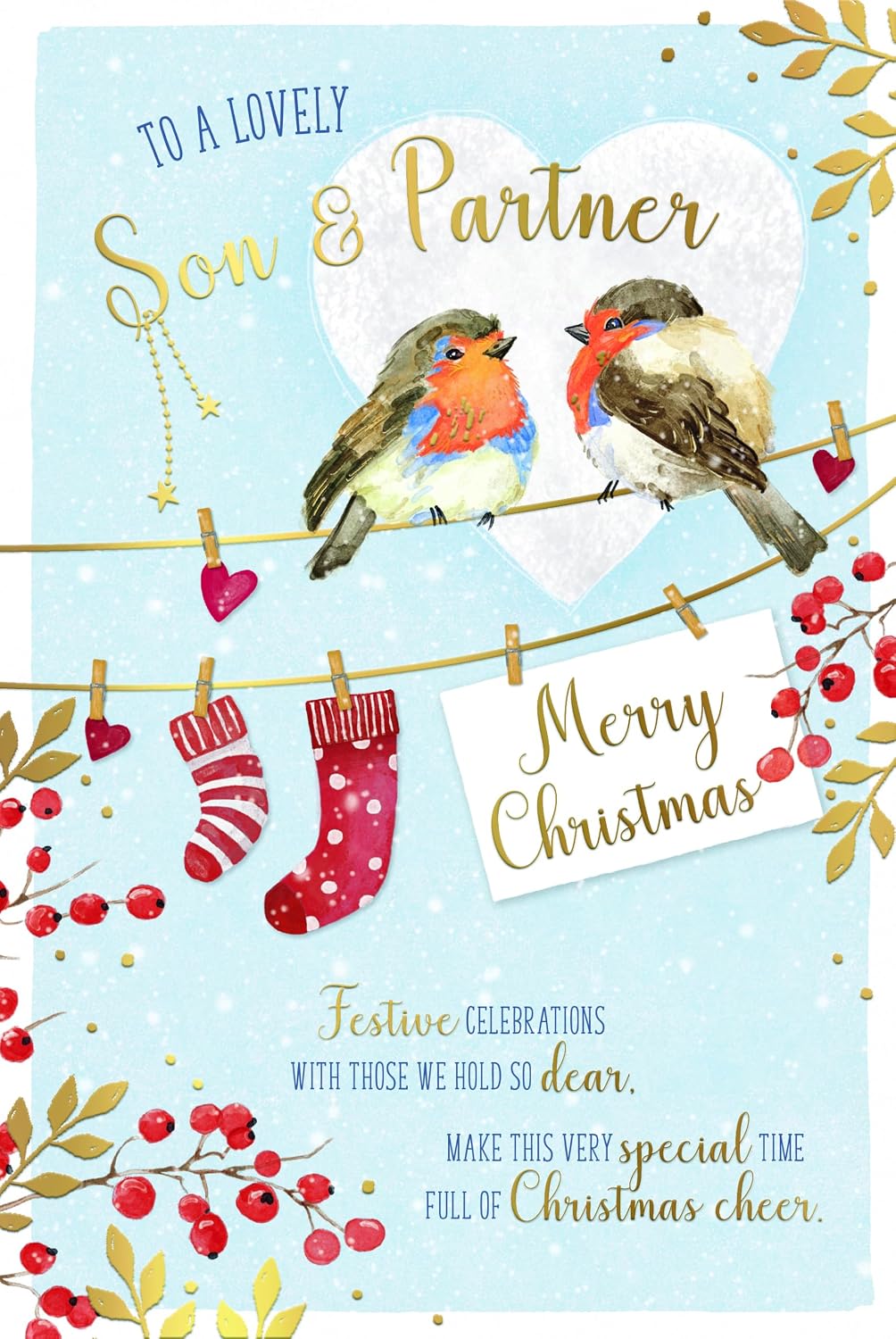 Robins On Washing Line Son And Partner Christmas Card