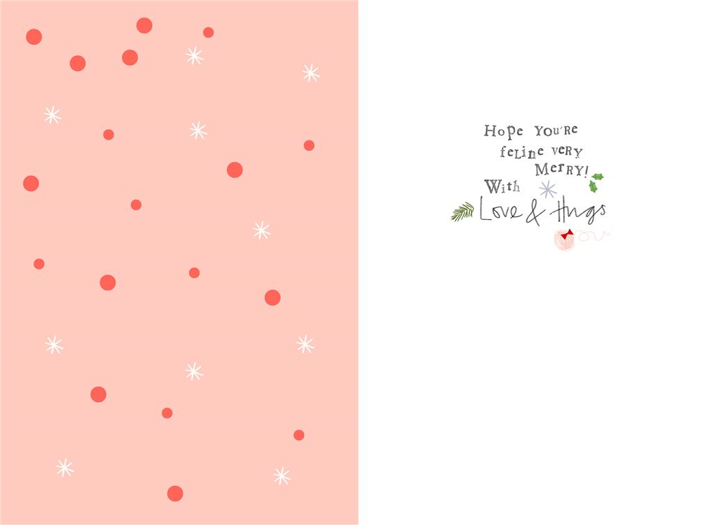 From The Cat Christmas Card