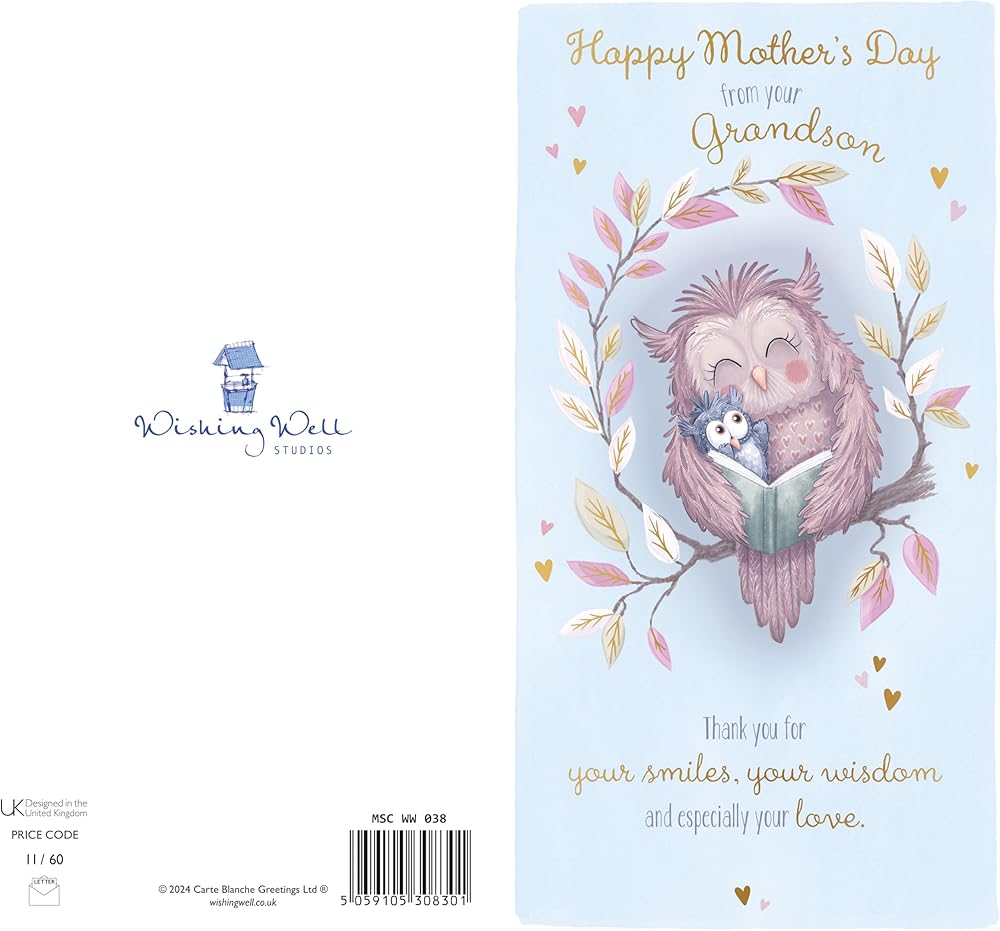 Owls Hugging From Grandson Mother's Day Card