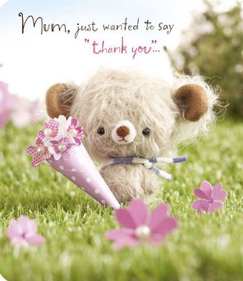Thank You Mum Cute Mother's Day Card