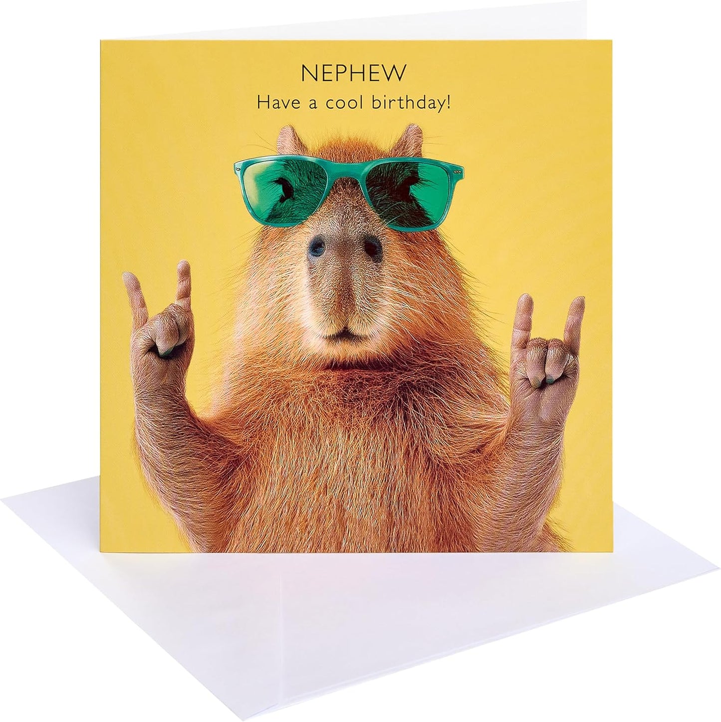 Capybara in Sunglasses Design Nephew Birthday Card