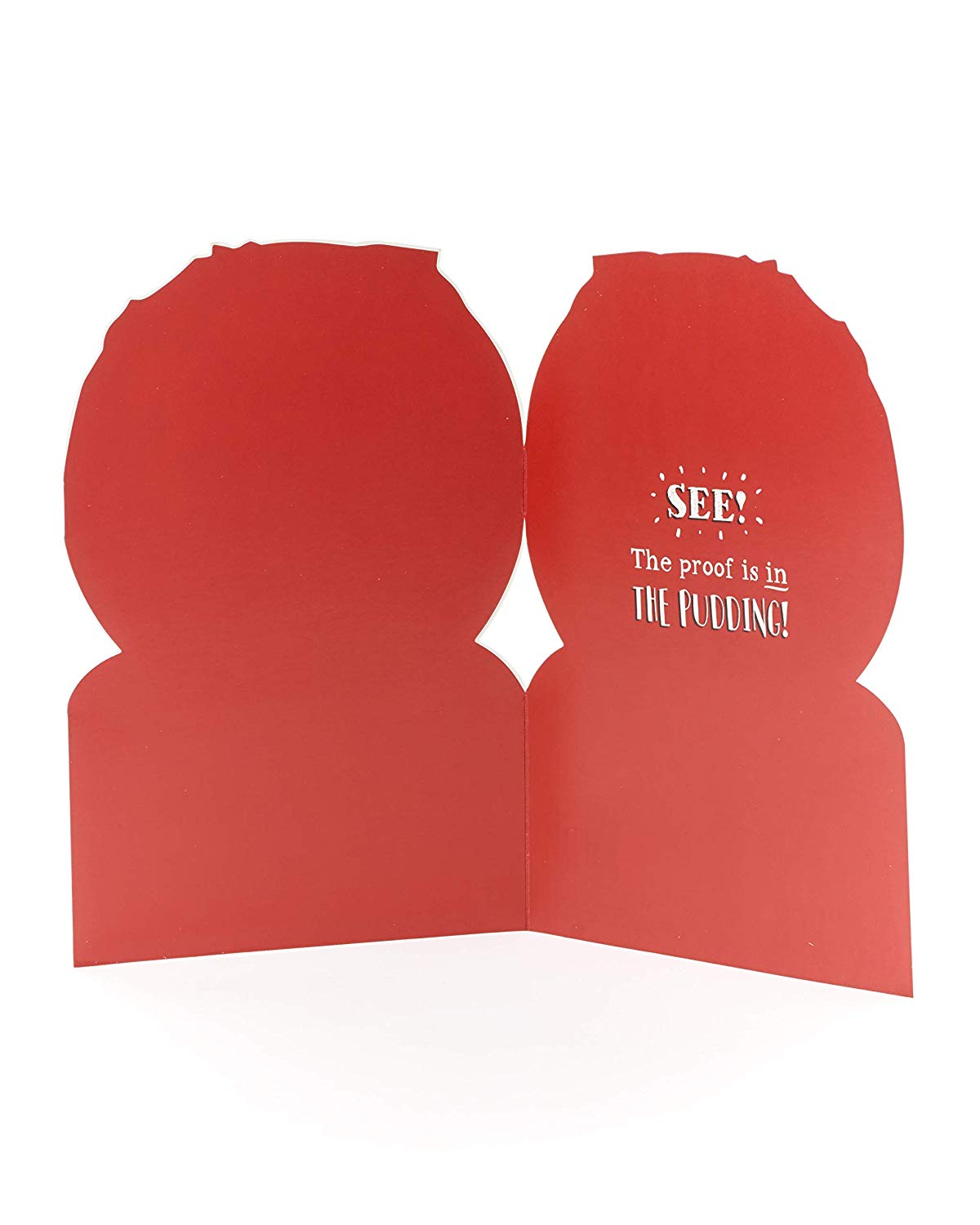 Son Funny Christmas Card Christmas Pudding