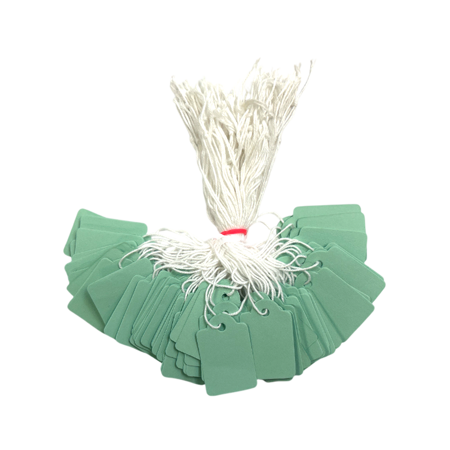 Pack of 100 Medium Pastel Green Strung Tags 25 x 39mm