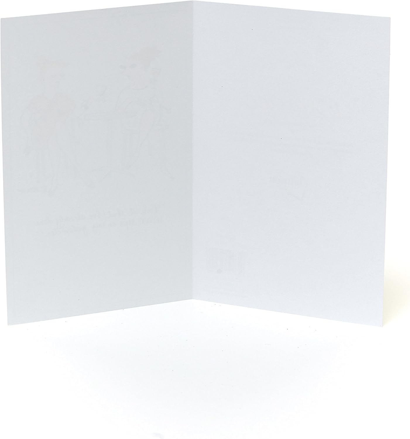 Funny Blank Birthday Card