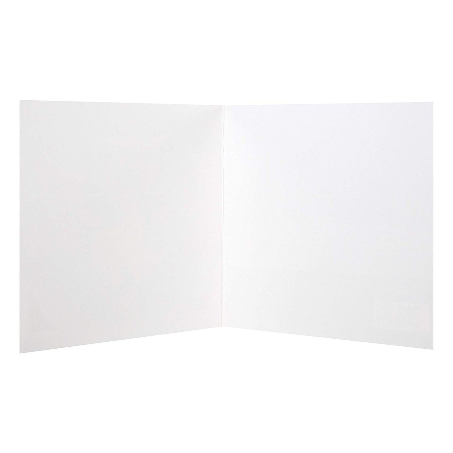 Blank Card "Cat and Fish" Design