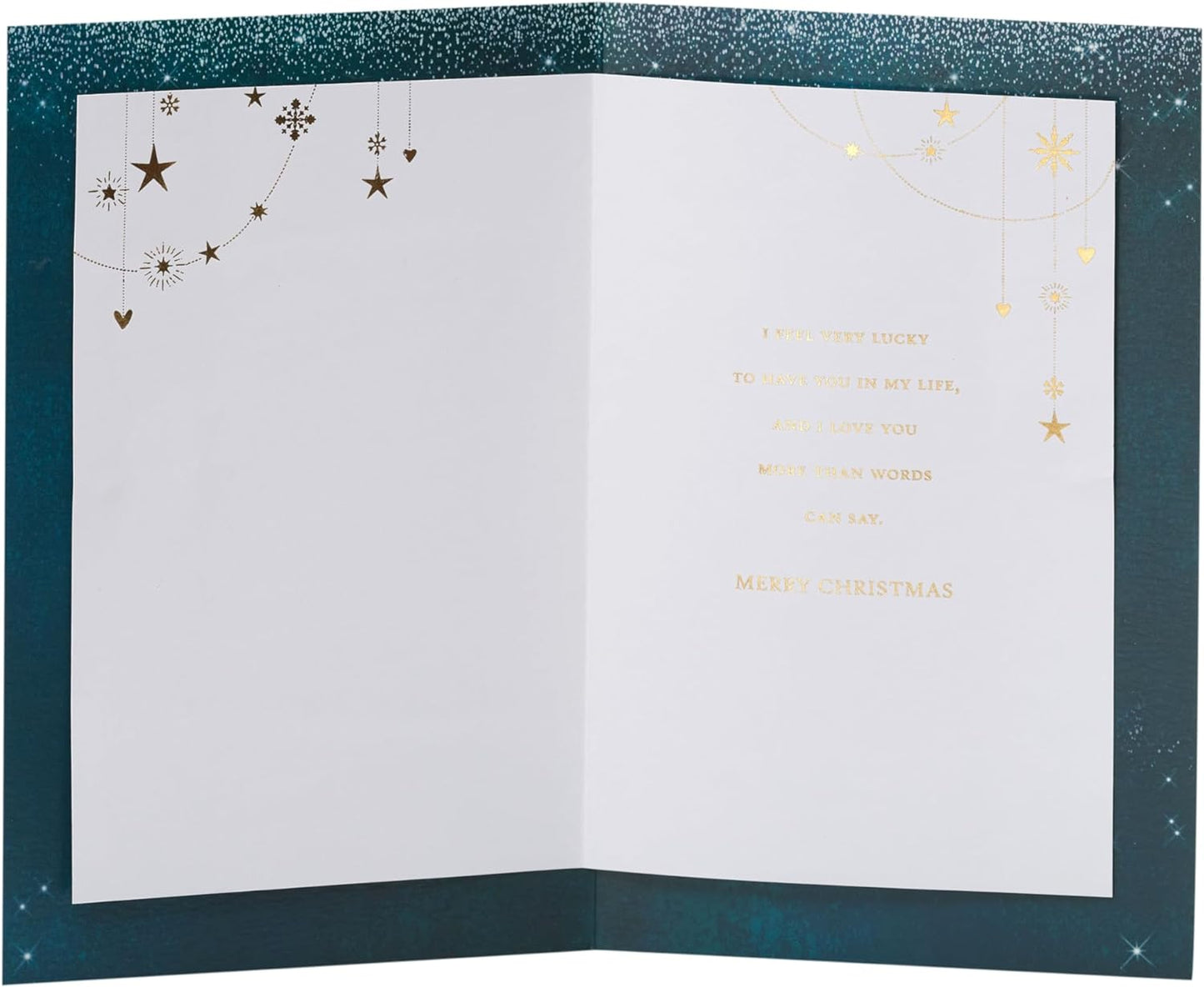 For the Special Man in My Life Christmas Card Gold Lettering Design 