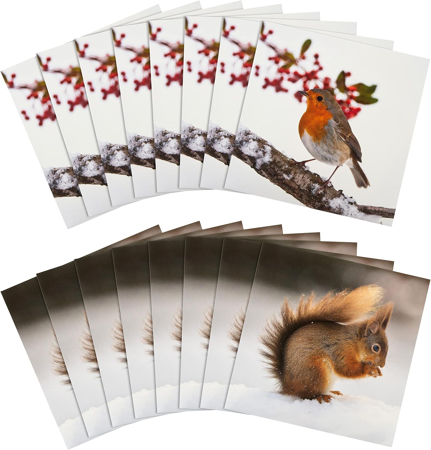 Pack of 16 in 2 National Geographic Designs Christmas Cards