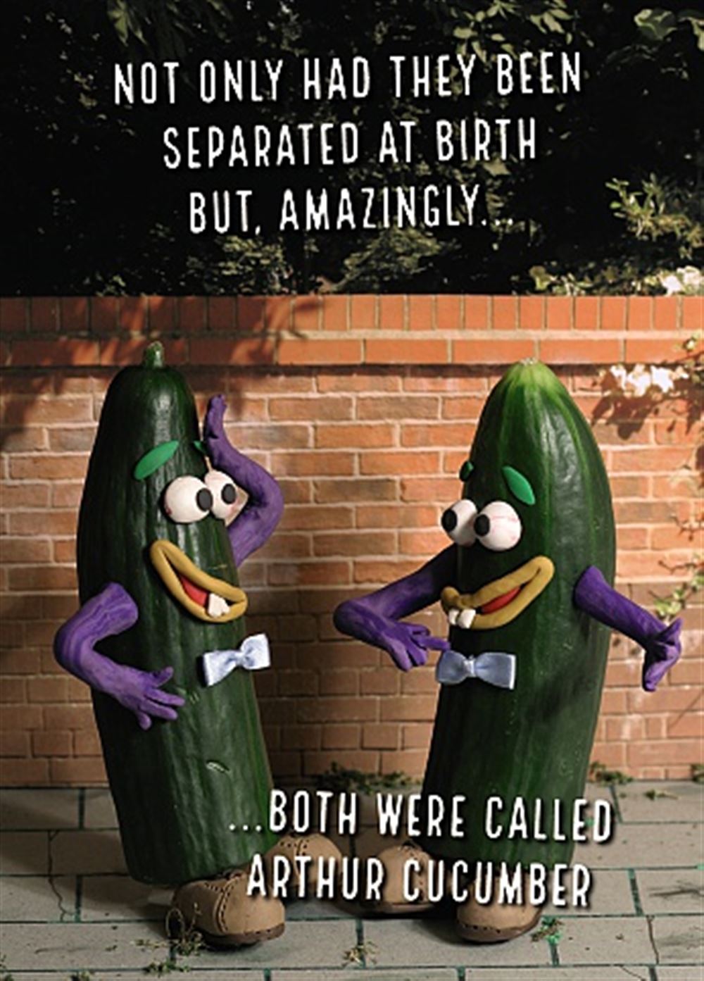 Violent Veg Funny Humourous Quirky Blank Greeting Card For Any occasion