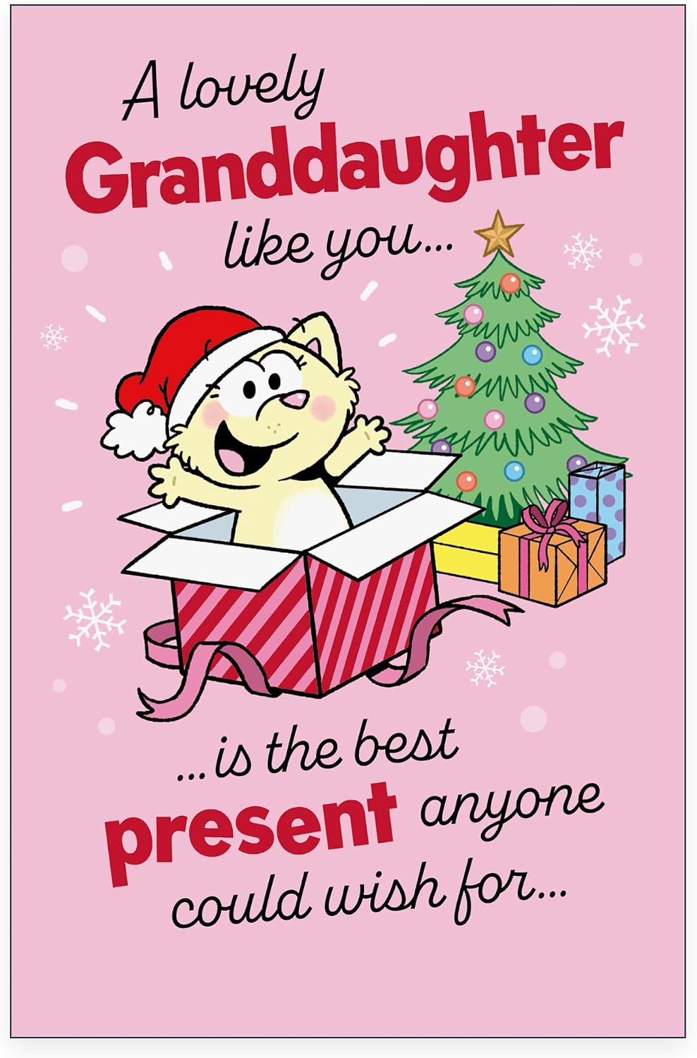 Cat Cartoon Design Granddaughter Christmas Card