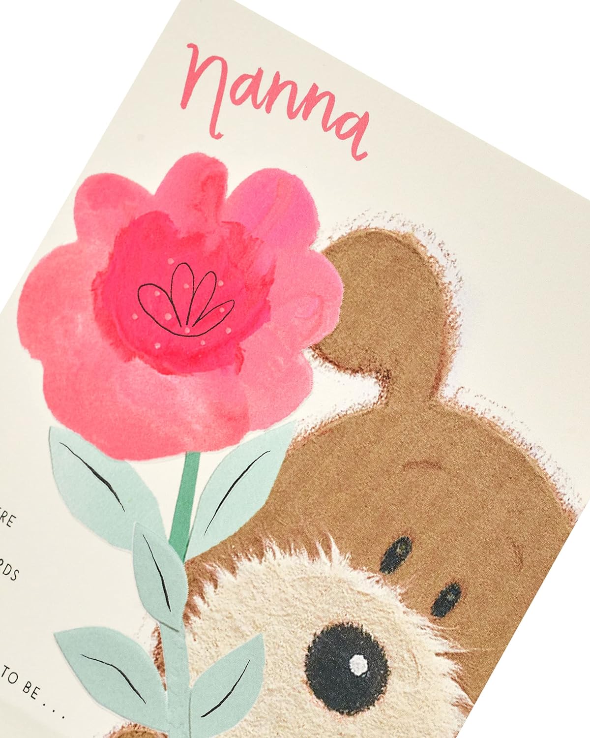 For Nanna Dog & Flower Design Lots of Woof Mother's Day Card