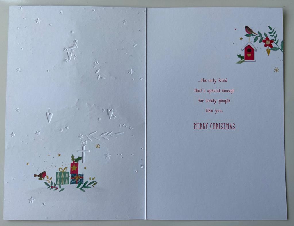 Personalised Brother and Multi Caption Sister in law, Wife, Girlfriend, Wife Christmas Card 