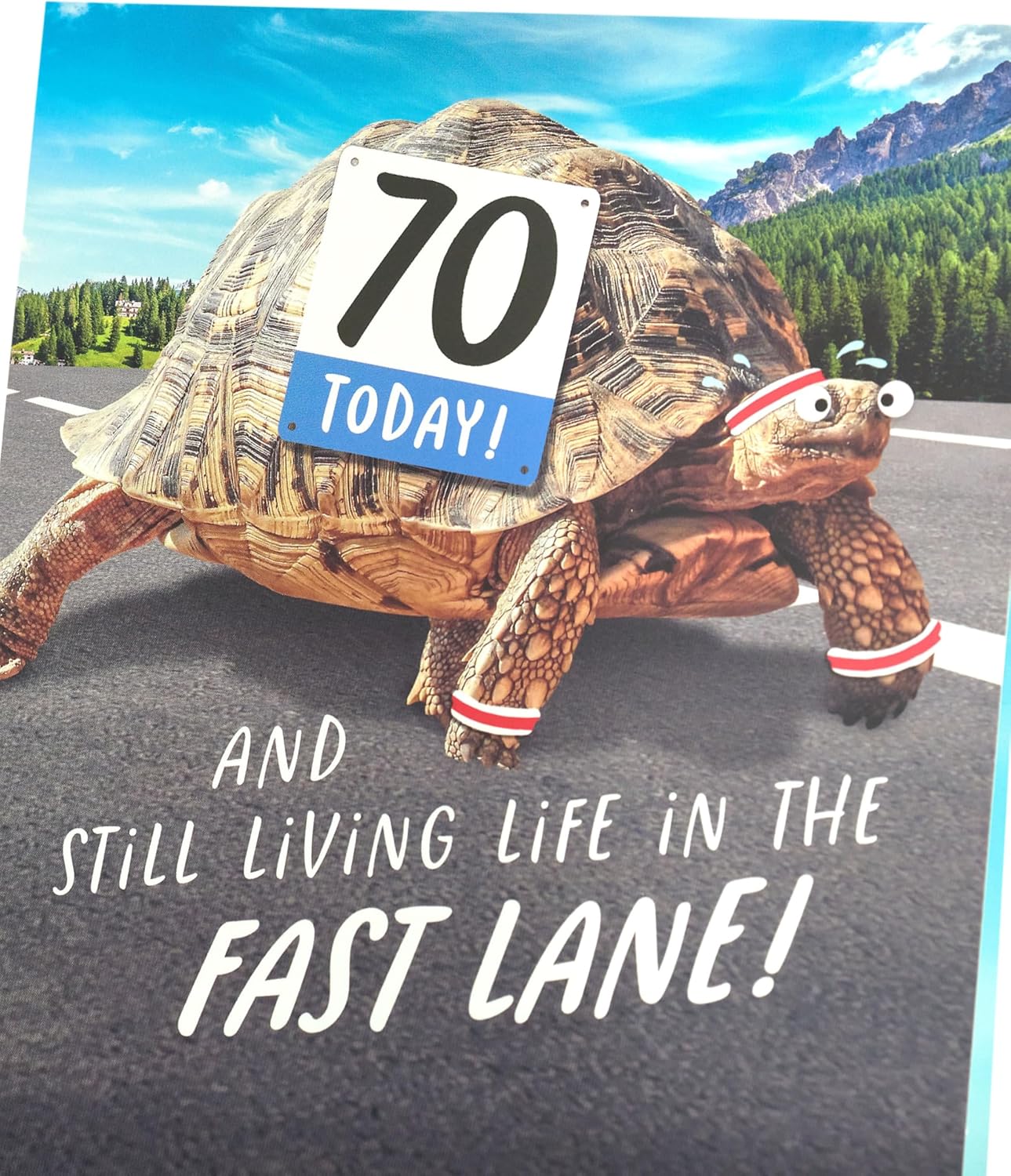 Funny Tortoise Design 70th Birthday Card