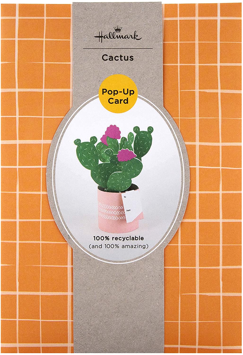Contemporary Cactus Design Pop Up Card