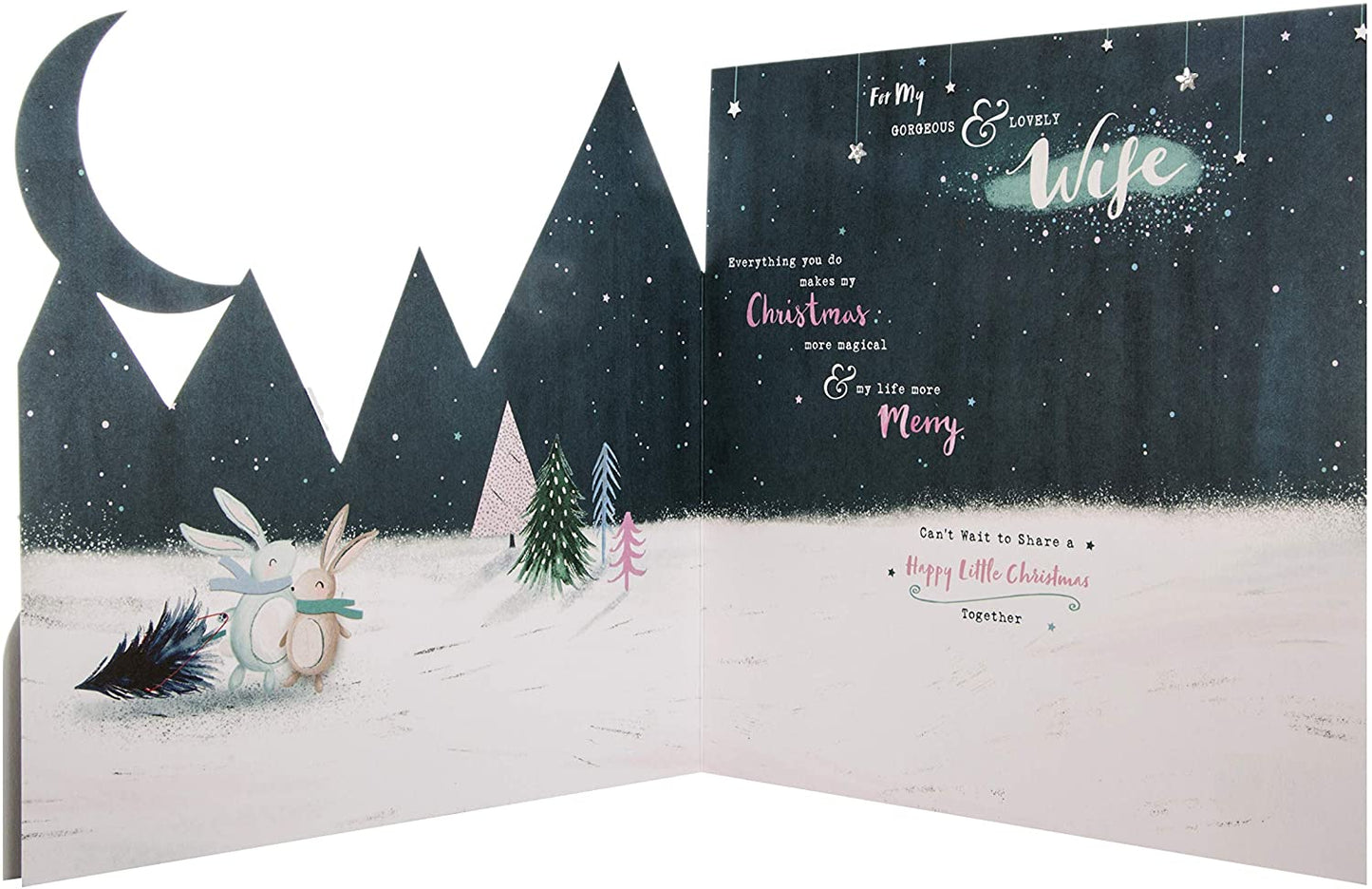 For My Gorgeous and Lovely Wife Twinkle Tails Design Christmas Card