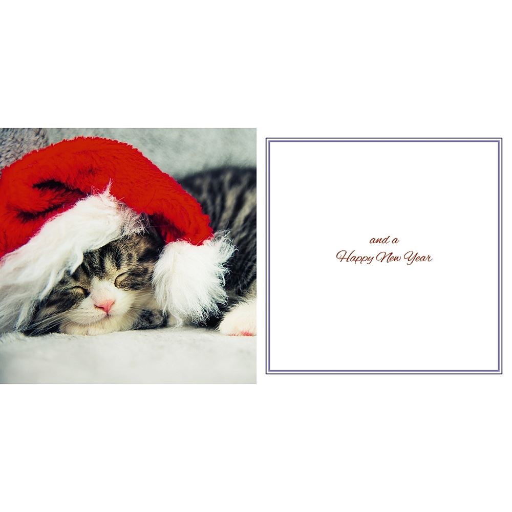 Cat In Santa Hat Photographic 3D Lenticular Merry Christmas Card with Detachable Keepsake