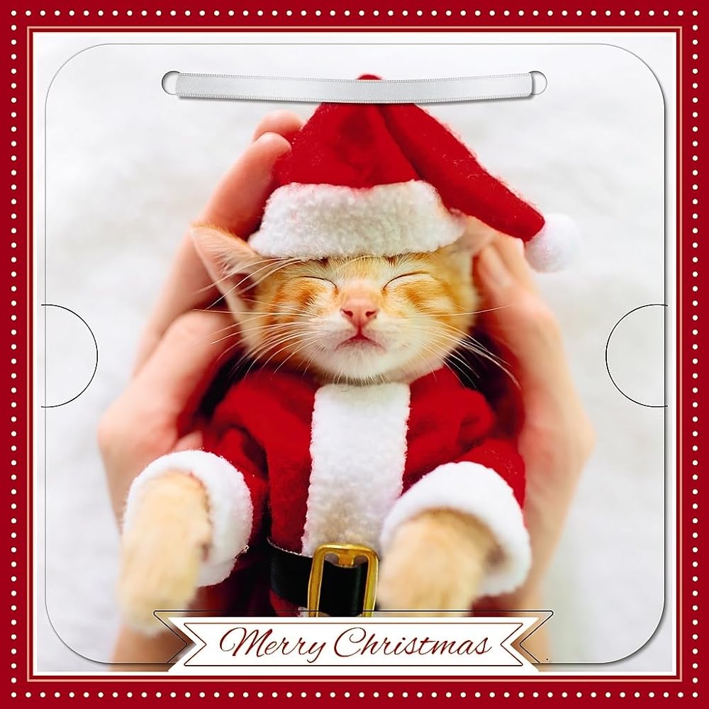 Cat In Santa Outfit Photographic 3D Lenticular Merry Christmas Card with Detachable Keepsake