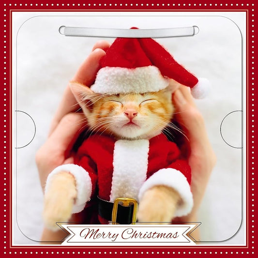 Cat In Santa Outfit Photographic 3D Lenticular Merry Christmas Card with Detachable Keepsake