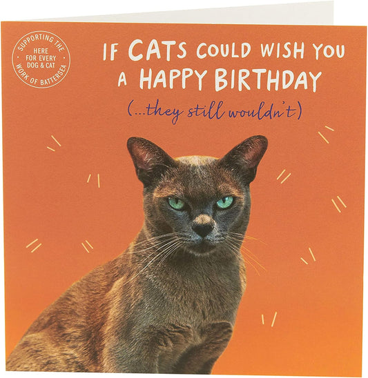 Bright Cat Design Battersea Blank Birthday Card