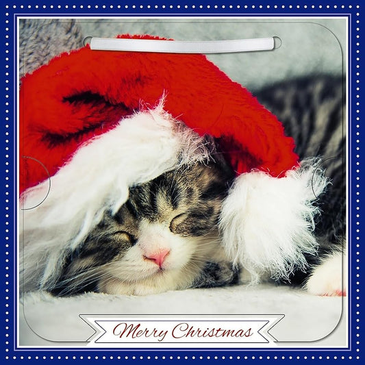 Cat In Santa Hat Photographic 3D Lenticular Merry Christmas Card with Detachable Keepsake