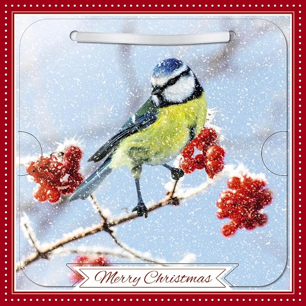 Blue Tit On Berry Branch Photographic 3D Lenticular Merry Christmas Card with Detachable Keepsake