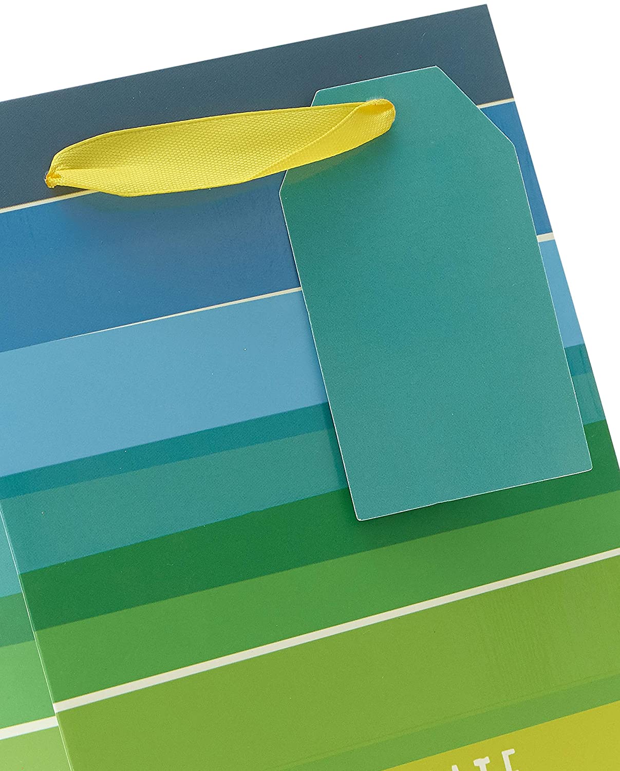 Celebrate Rainbow Stripe Bottle Size Gift Bag 