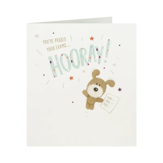 You've Passed Your Exams Hooray! Congratulations Card 