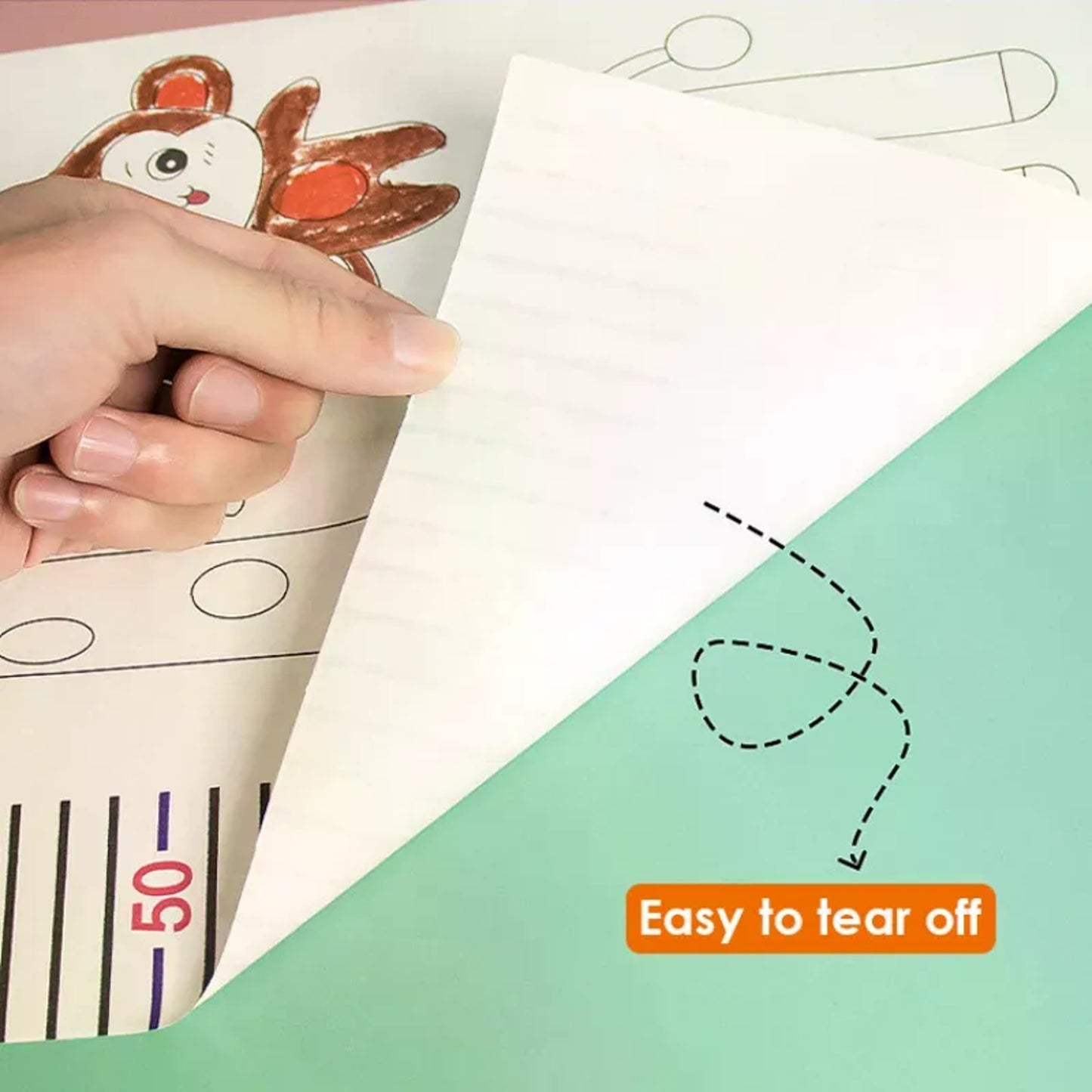 Doodling Height Chart Sticker And Picture Scroll with Removable Glue