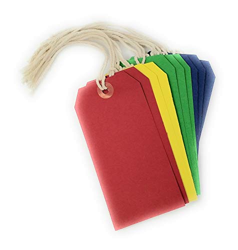 Assorted Colours Coloured Tie-on Luggage Labels 60x120 mm Strung Tags - Pack of 10