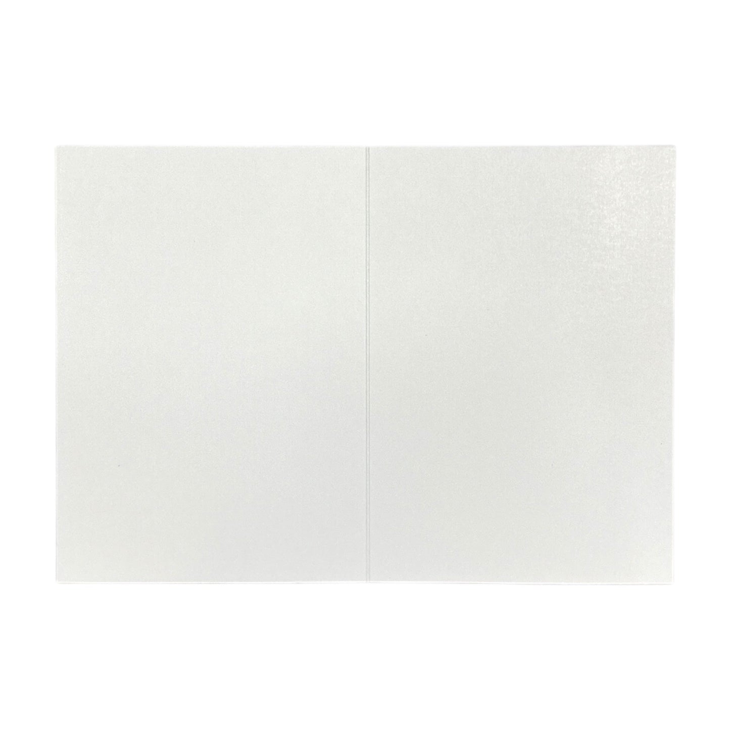 Pack of 20 Santa Small Blank Christmas Thank You Cards with Envelopes