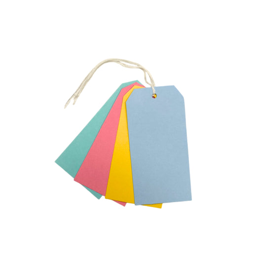 Pack of 30 Assorted Colour Luggage Strung Tags 60 x 120mm