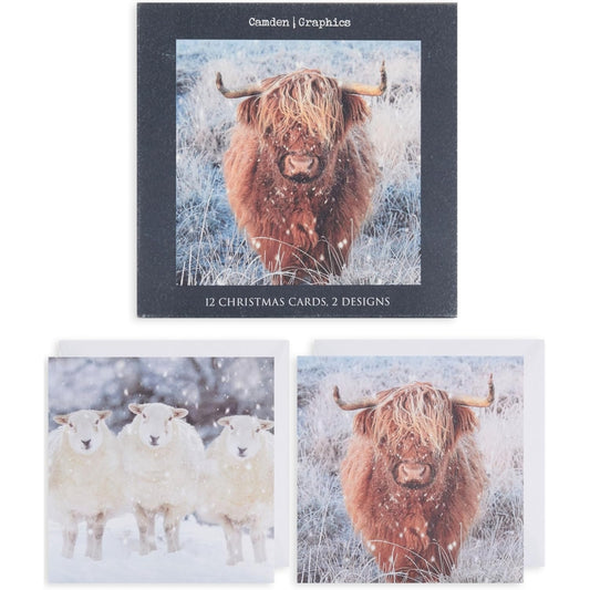 2 Animal Designs Multipack of 12 Christmas Cards